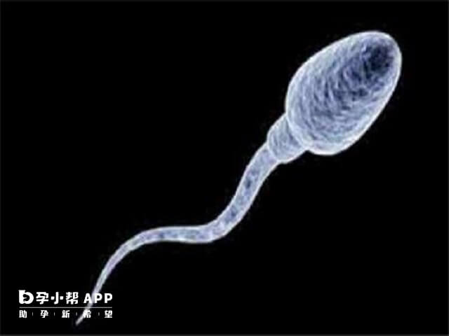 孕妇要补硒么(孕期补硒)-硒宝网