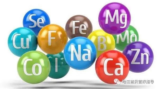 补硒能补铁吗(缺铁和硒该吃什么)-硒宝网