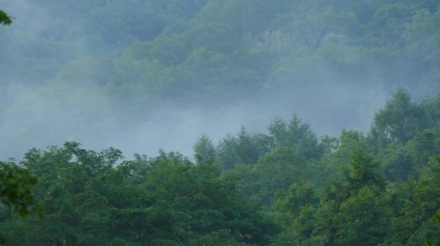补硒茶的做法（补硒茶有哪些）-硒宝网