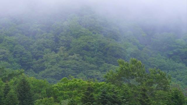 补硒茶的做法（补硒茶有哪些）-硒宝网