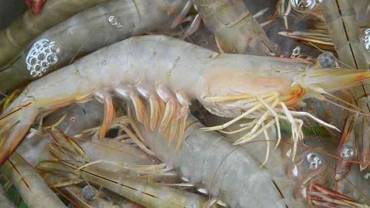 乳腺癌要补硒（乳腺癌补硒）-硒宝网