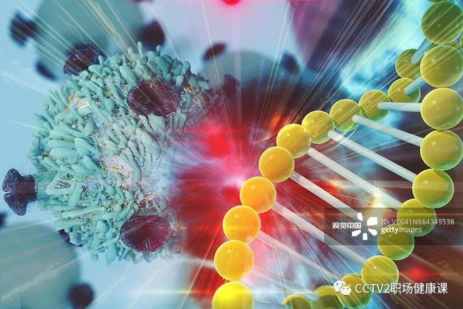 吃洋葱能补硒(洋葱能补充维生素c吗)-硒宝网