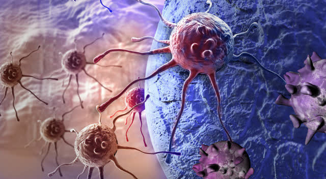 吃洋葱能补硒(洋葱能补充维生素c吗)-硒宝网