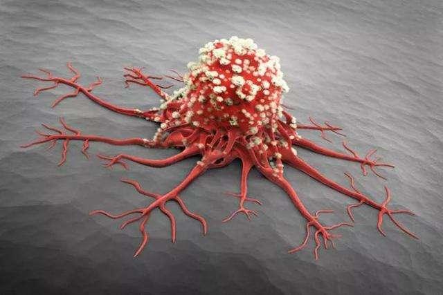 吃洋葱能补硒(洋葱能补充维生素c吗)-硒宝网