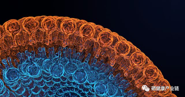 乳腺癌要补硒（癌乳腺补硒要吃多久）-硒宝网