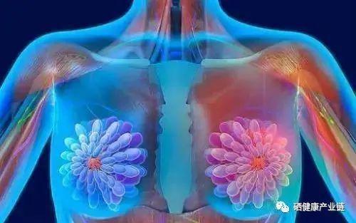 乳腺癌要补硒（癌乳腺补硒要吃多久）-硒宝网