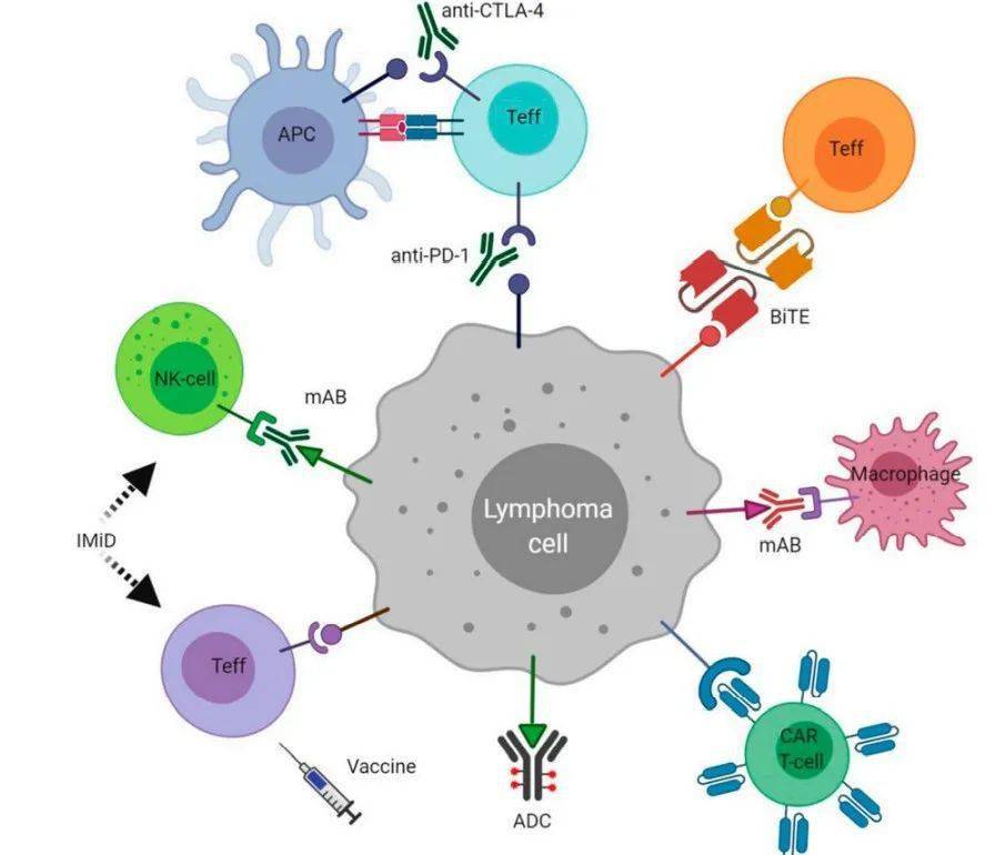 补硒后血肌酐(肌酐高可以吃硒吗)-硒宝网