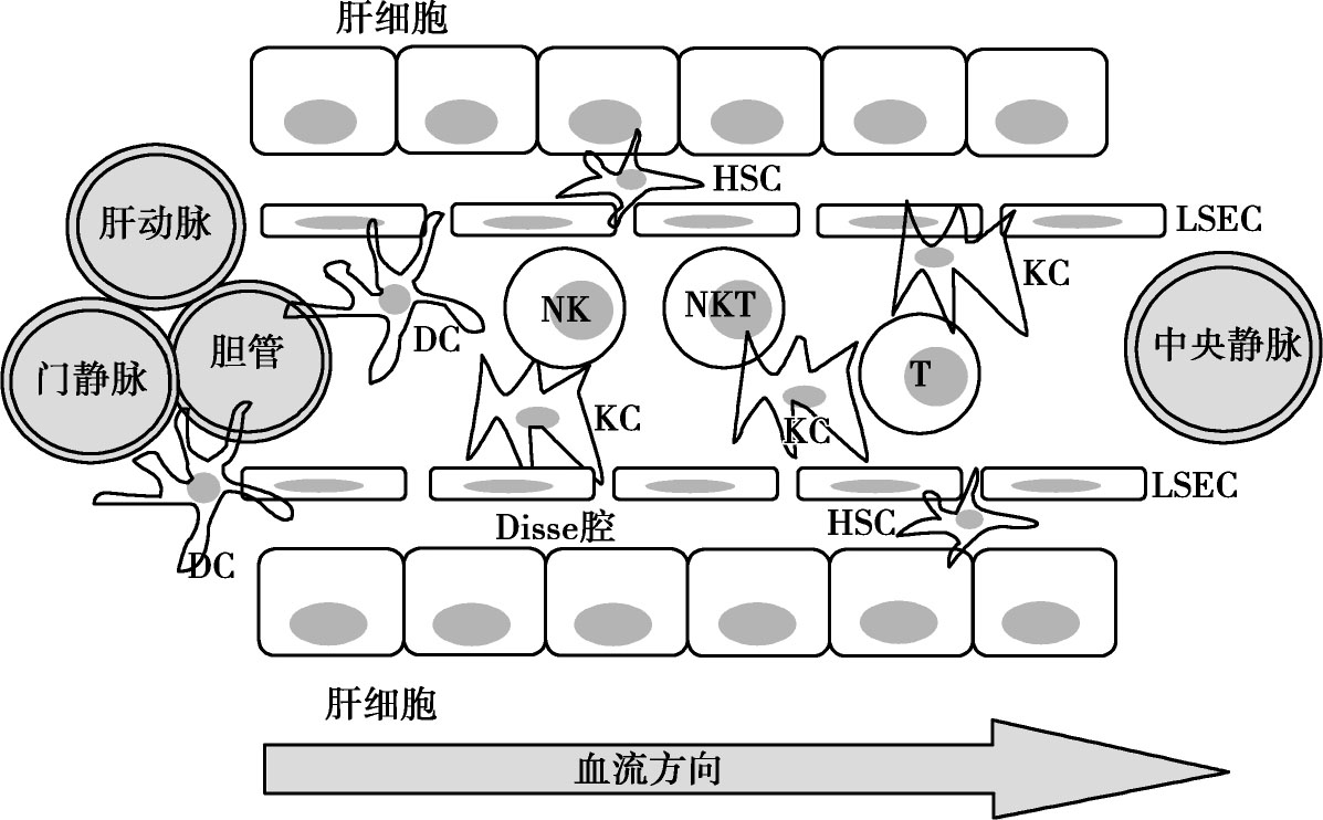 万物皆可补硒(补硒的东西)-硒宝网