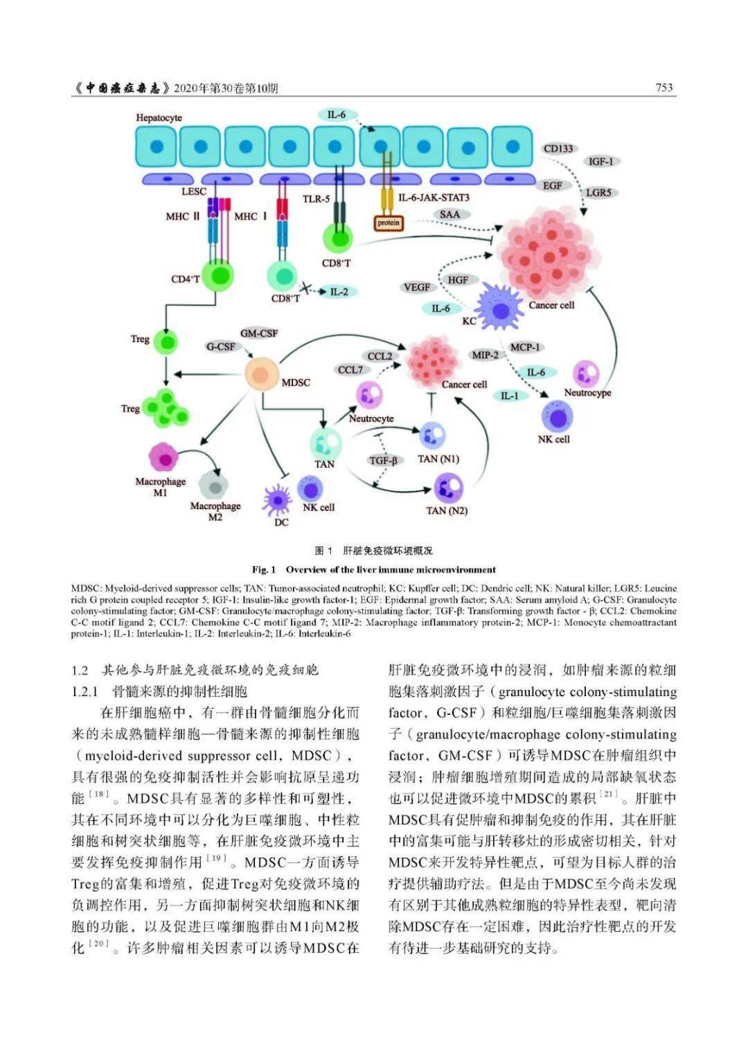 万物皆可补硒(补硒的东西)-硒宝网