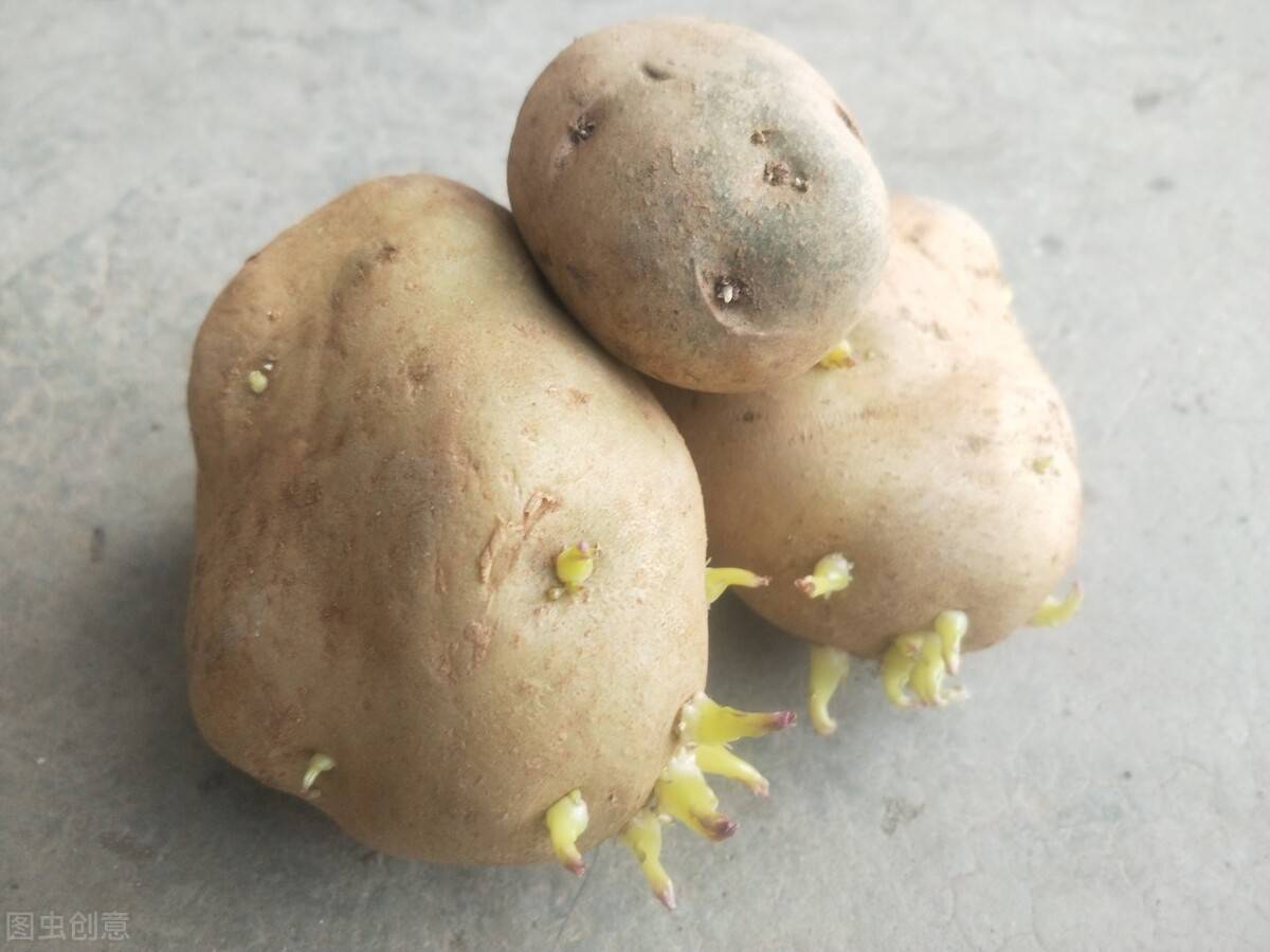 男人吃啥补硒(男补硒的好处)-硒宝网