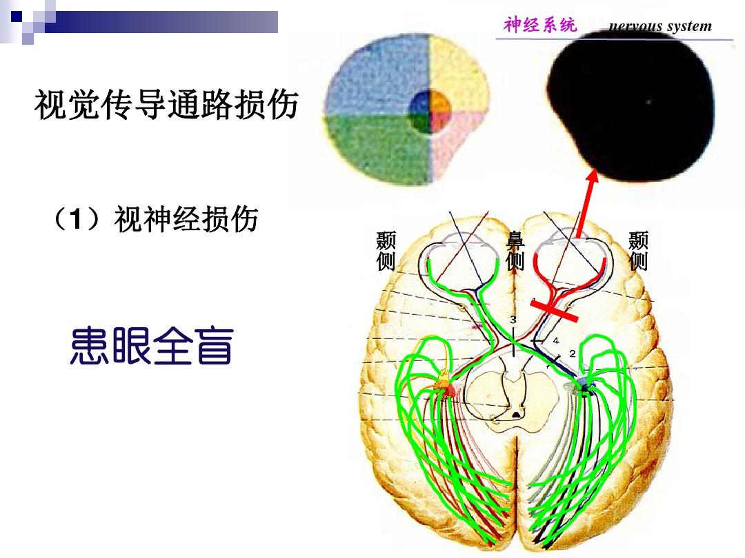 补硒治精神病（硒与精神病的作用）-硒宝网