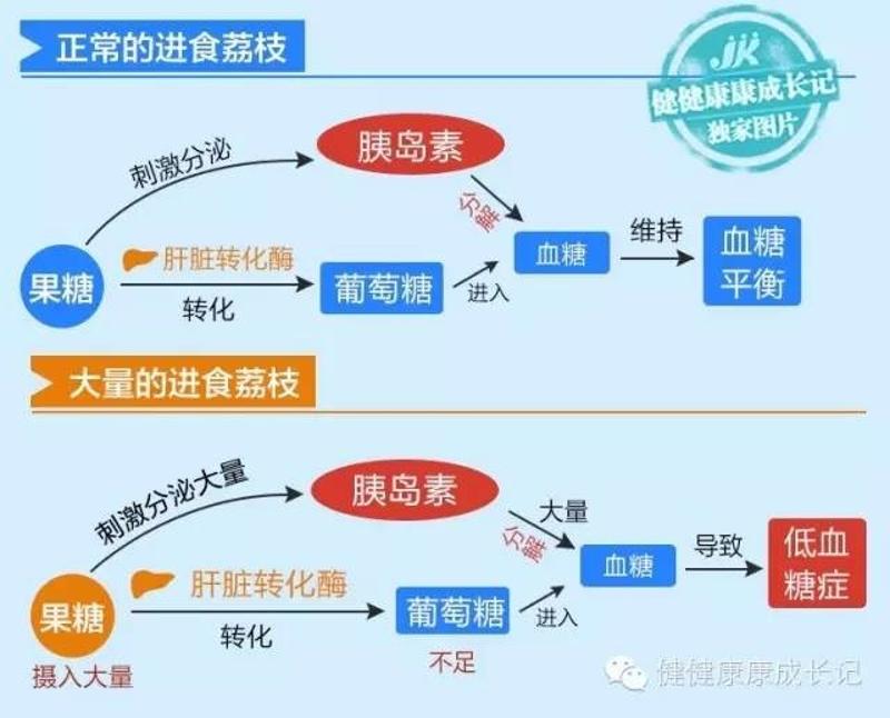 补硒治糖尿病（补硒对糖尿病的作用）-硒宝网