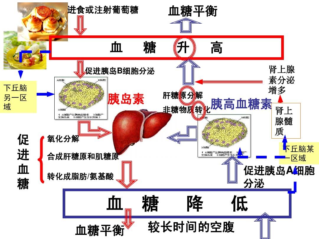 补硒治糖尿?。ú刮蕴悄虿〉淖饔茫?硒宝网