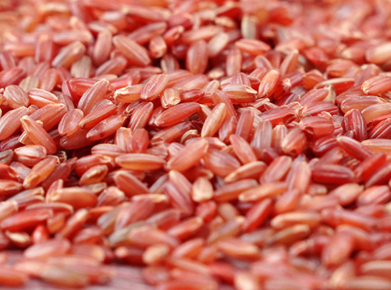 每天补一粒硒(每天补硒后肝脏变化案例)-硒宝网