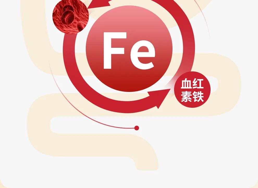 每天补一粒硒(每天补硒后肝脏变化案例)-硒宝网