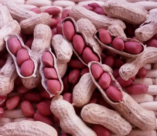 每天补一粒硒(每天补硒后肝脏变化案例)-硒宝网