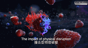 每天补一粒硒(每天补硒后肝脏变化案例)-硒宝网