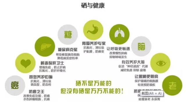 吃怎么能补硒(硒能随便补吗)-硒宝网