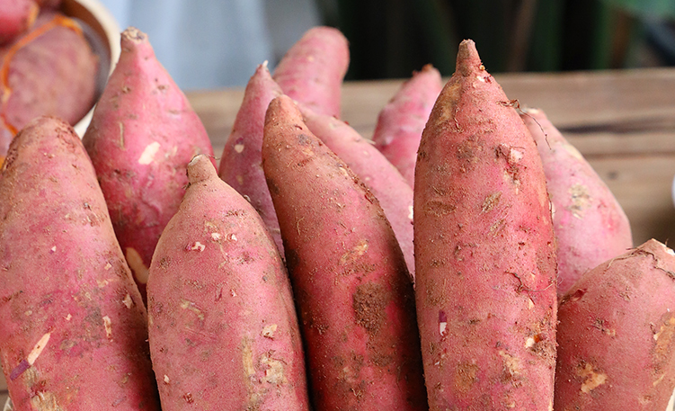 补镁锌硒的药(锌镁硒的作用)-硒宝网