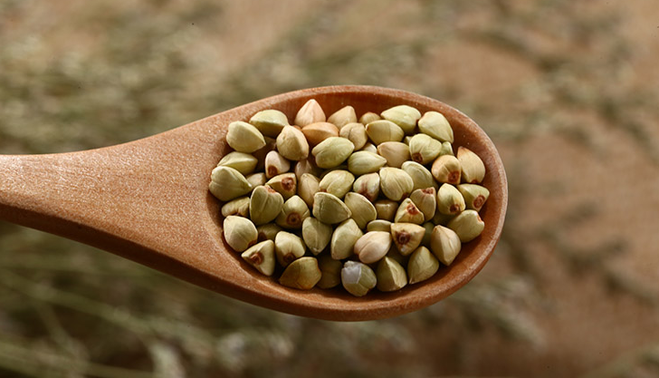 补镁锌硒的药(锌镁硒的作用)-硒宝网