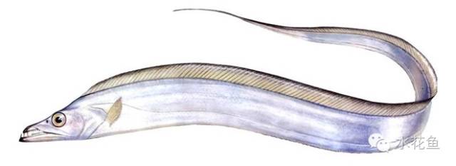 补镁锌硒的药(补硒锌镁的药有什么)-硒宝网