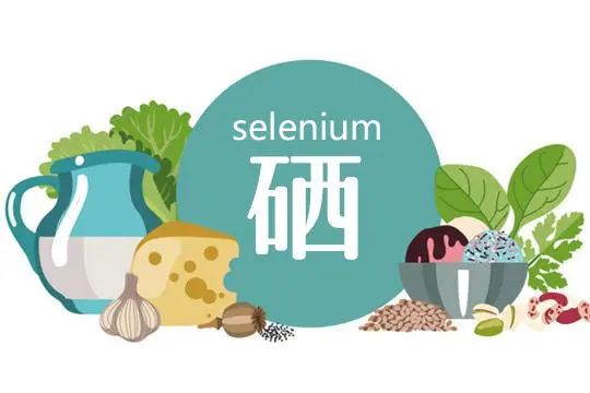 每天补一点硒（每天补硒多少毫克）-硒宝网