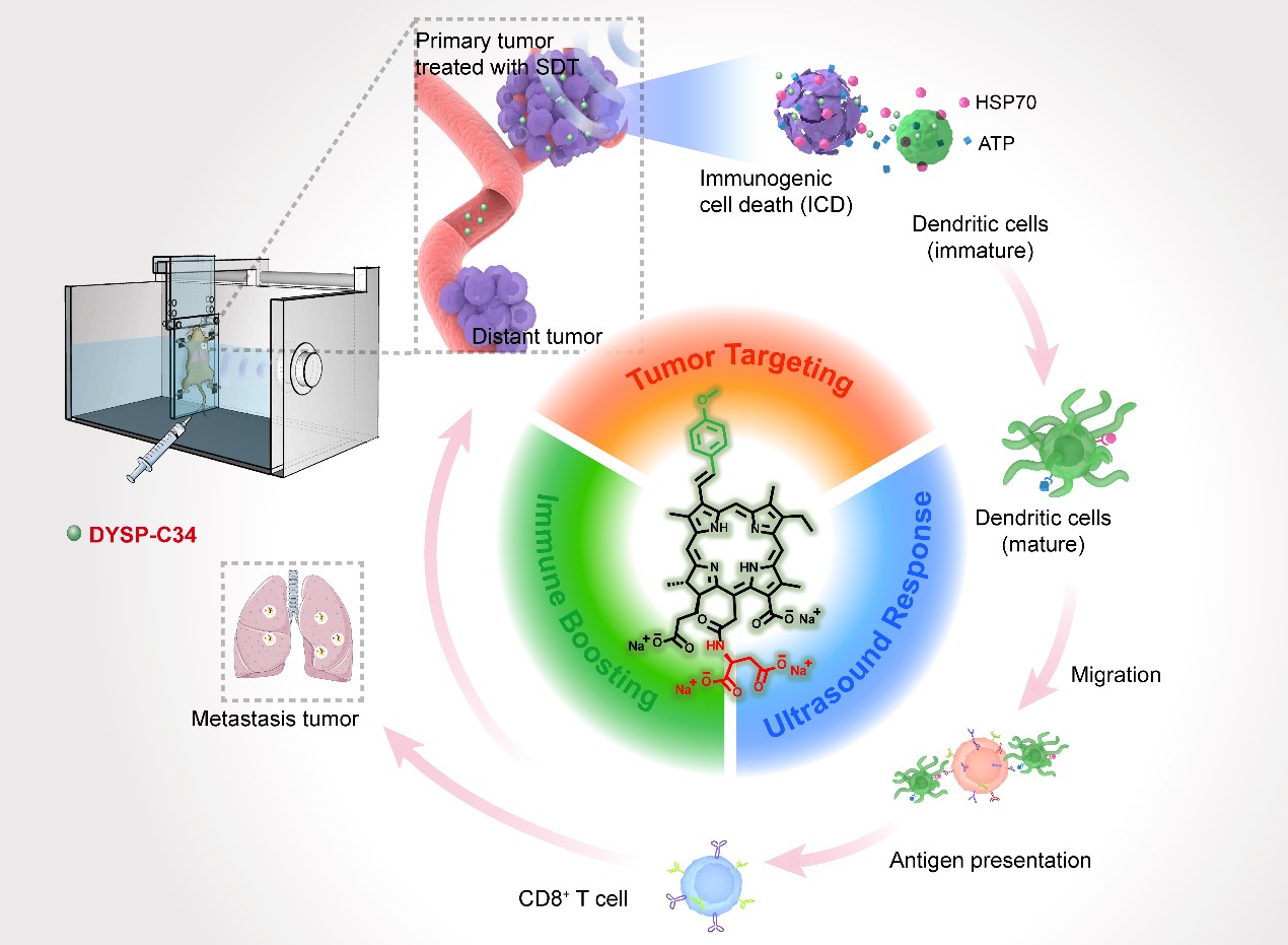 三高能补硒吗（硒与三高）-硒宝网