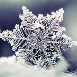 男人吃补硒的(男补硒的好处)-硒宝网