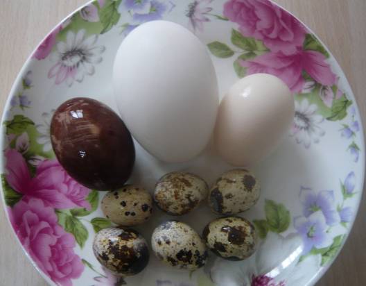 男人吃补硒的(男补硒的好处)-硒宝网