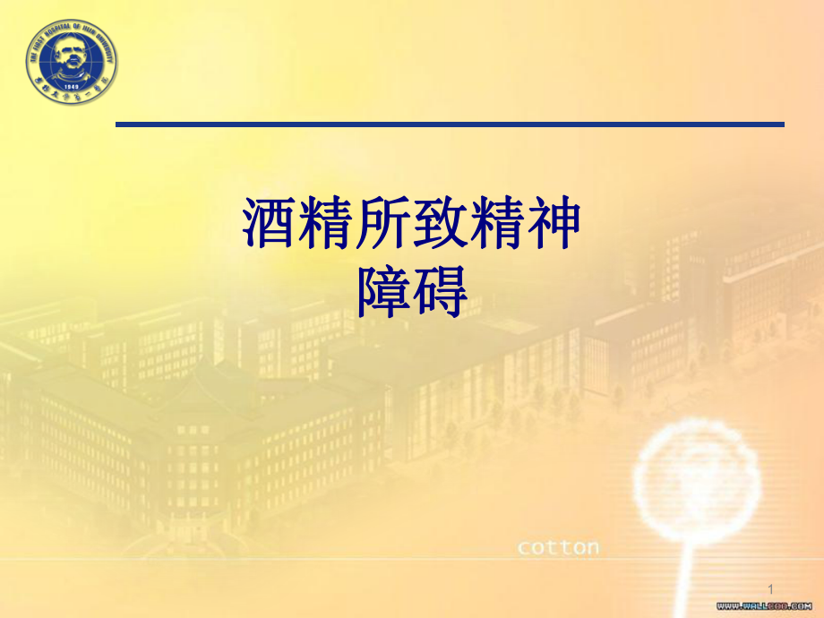 补硒治精神?。ú≈尾咕裎杏寐穑?硒宝网