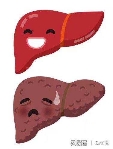 补硒的好与坏（补硒的误区）-硒宝网