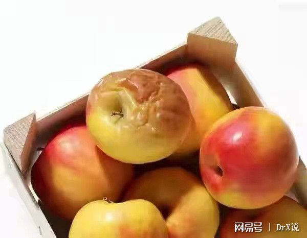 补硒的好与坏（补硒的误区）-硒宝网