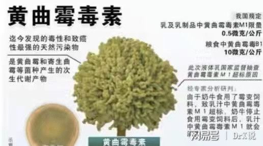 补硒的好与坏（补硒的误区）-硒宝网