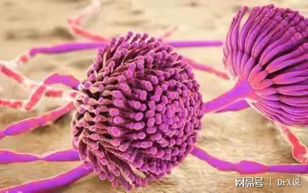 补硒的好与坏（补硒的误区）-硒宝网