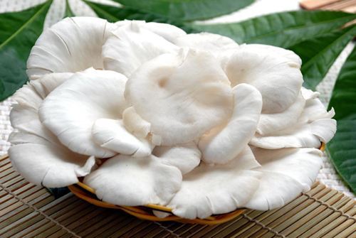 三高人群补硒（人群补三高硒片有用吗）-硒宝网