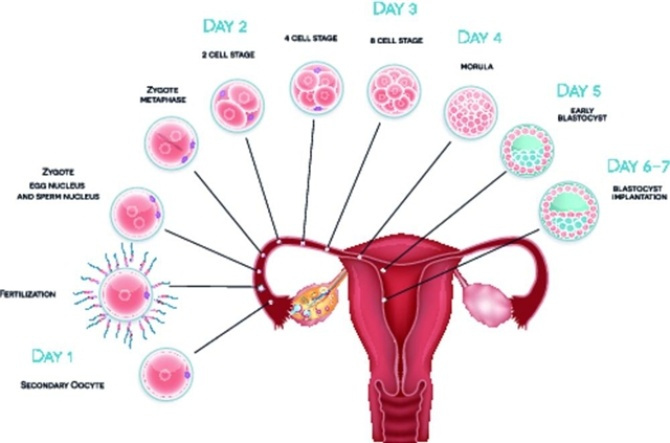 补硒抗宫颈癌(硒治疗宫颈癌)-硒宝网