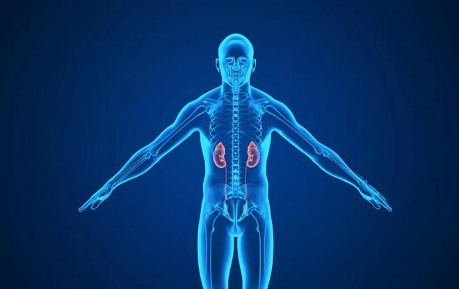糖尿病补硒量(补硒对糖尿病的作用)-硒宝网