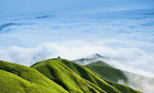 皮肤科补硒药(硒对皮肤病治疗作用)-硒宝网