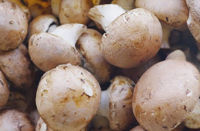 补硒能养肝吗(补硒对肝病有效吗)-硒宝网