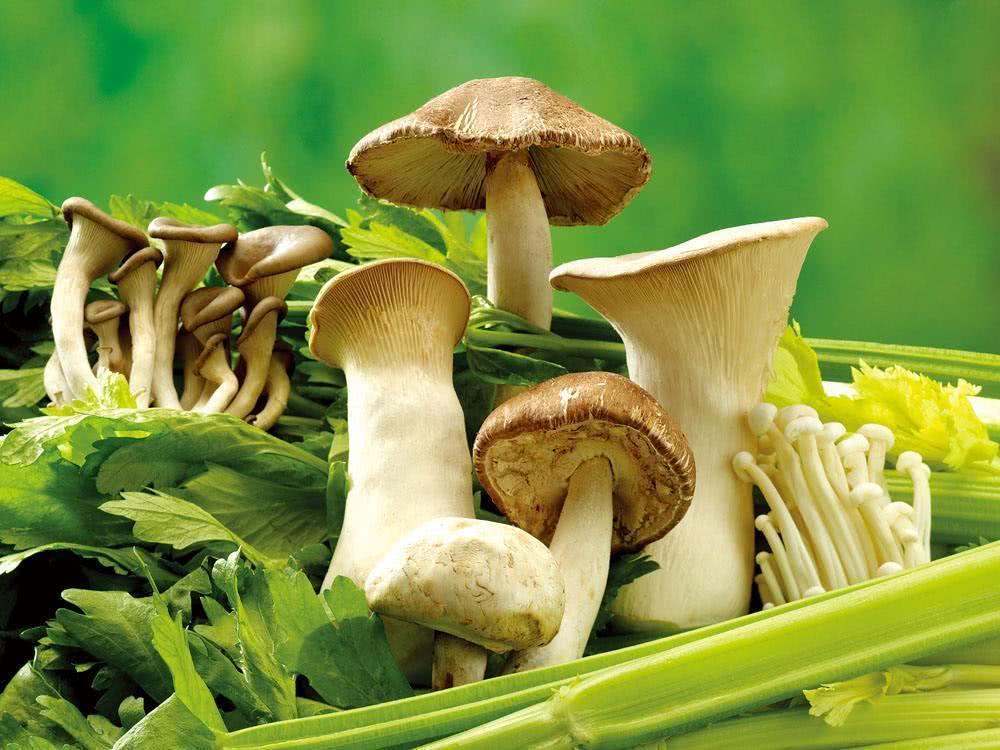 免疫力差补硒（免疫力补差硒片有用吗）-硒宝网