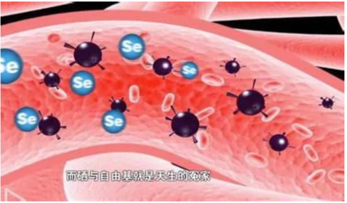 什么人补硒好（补硒后身体发生的变化）-硒宝网