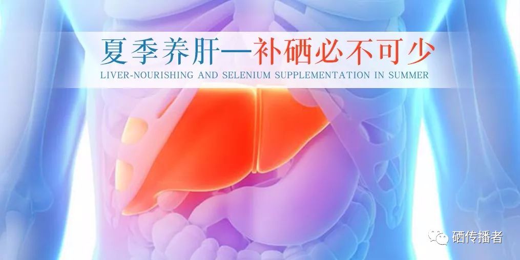 补硒能护旰吗(补硒保健品有用吗)-硒宝网