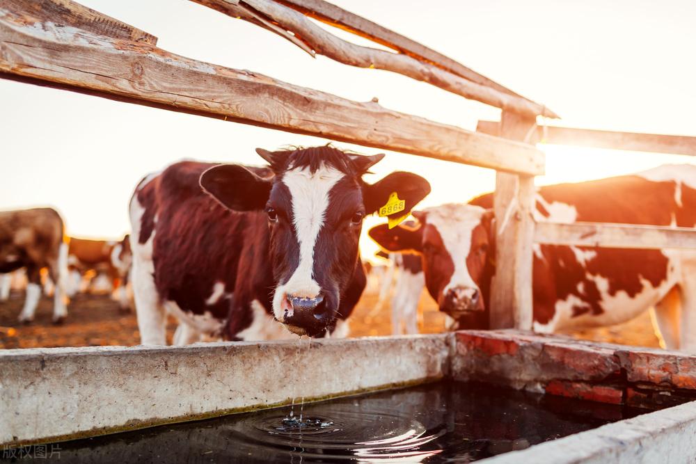 长补硒可以吗(补硒可以提高)-硒宝网