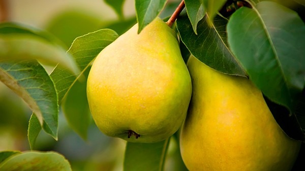 常补硒不患癌(补硒对癌症患者有用么)-硒宝网