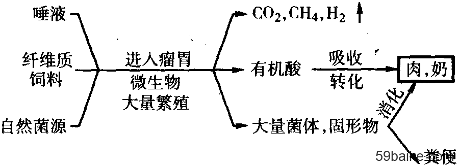 怎么样来补硒(补硒对月经有好处吗)-硒宝网