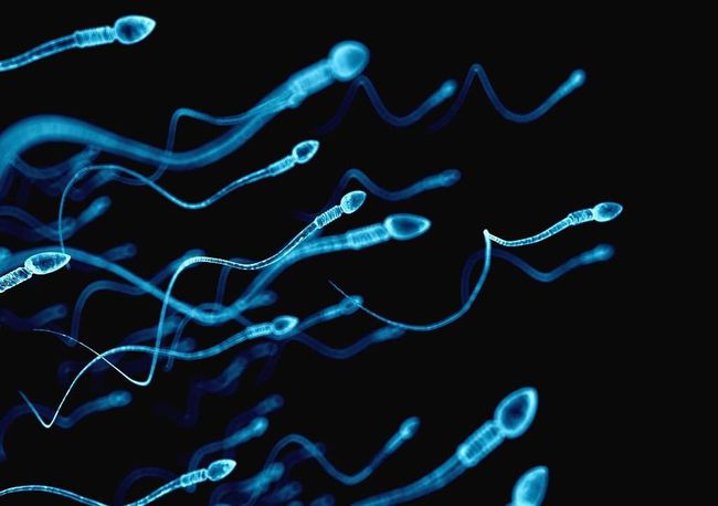 锌硒钙补精吗（补钙锌硒吃什么药）-硒宝网