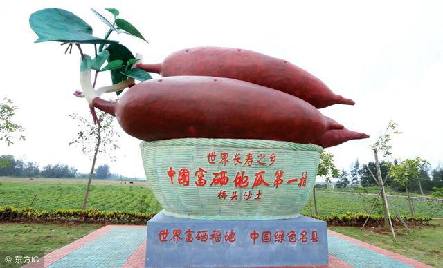 缺硒该吃啥补（缺硒要补什么）-硒宝网