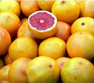 2010年01月24日《十种越吃越美的食物》（二） - 梅先生_的博客