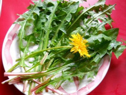 脂肪肝能补硒（肝脂肪能补硒嘛）-硒宝网