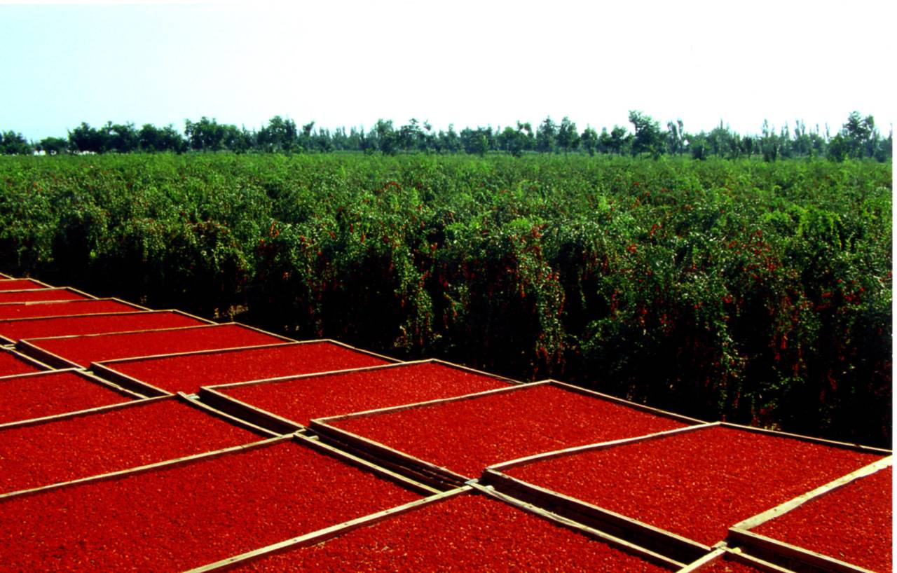 补硒工作会议(补硒)-硒宝网